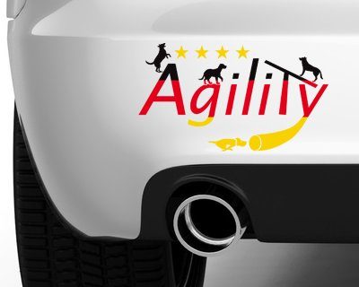Agility Weltmeister (L)